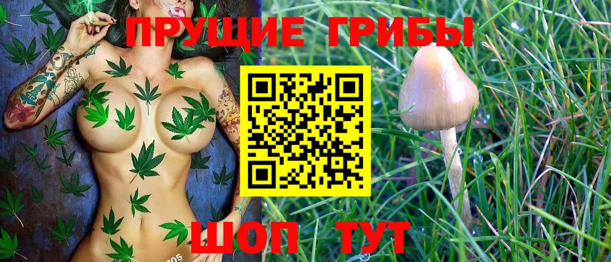 Псилоцибиновые грибы ЛСД Уфа